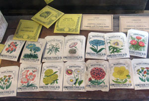 Comstock Ferre was the first to offer color illustrations on seed packets.