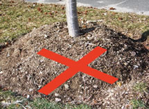 Mulch placed incorrectly around tree.