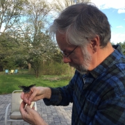 Jim Sirch releases a black swallowtail.