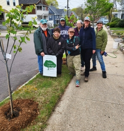 New London Trees Plants on Earth Day