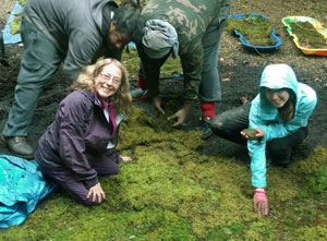 Annie Martin of Mountain Moss in Brevard, NC, creates a winter moss garden. 