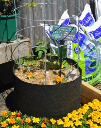 Smart pots grow flowers and vegetables equally well. Photo: Naturework.com