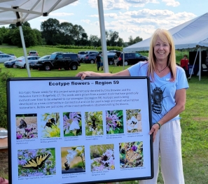 Bee scientist Tracy Zarillo displays ecotypic flowers used in a recent research project. 