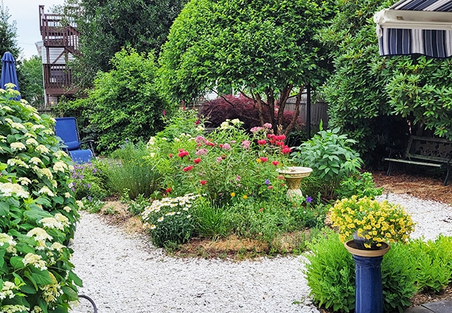 Small gardens for small pollinators