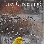 Lazy Gardening Image: Healthy Yards International