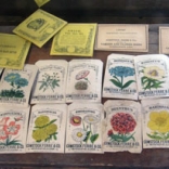 Connecticut has a long history in the seed business. 