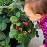 Baby girl visits a container-grown raspberry. Photo by www.bushelandberry.com