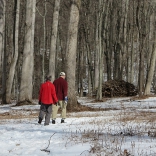 Forest Bathing